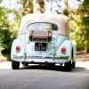 Font 4 just married beetle