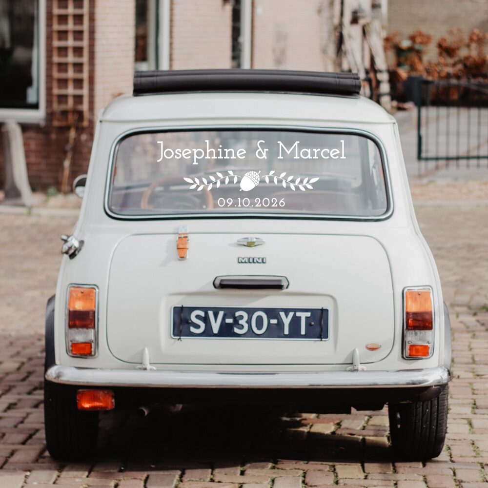 MSL Product Images (1) MSL Product Images (1)