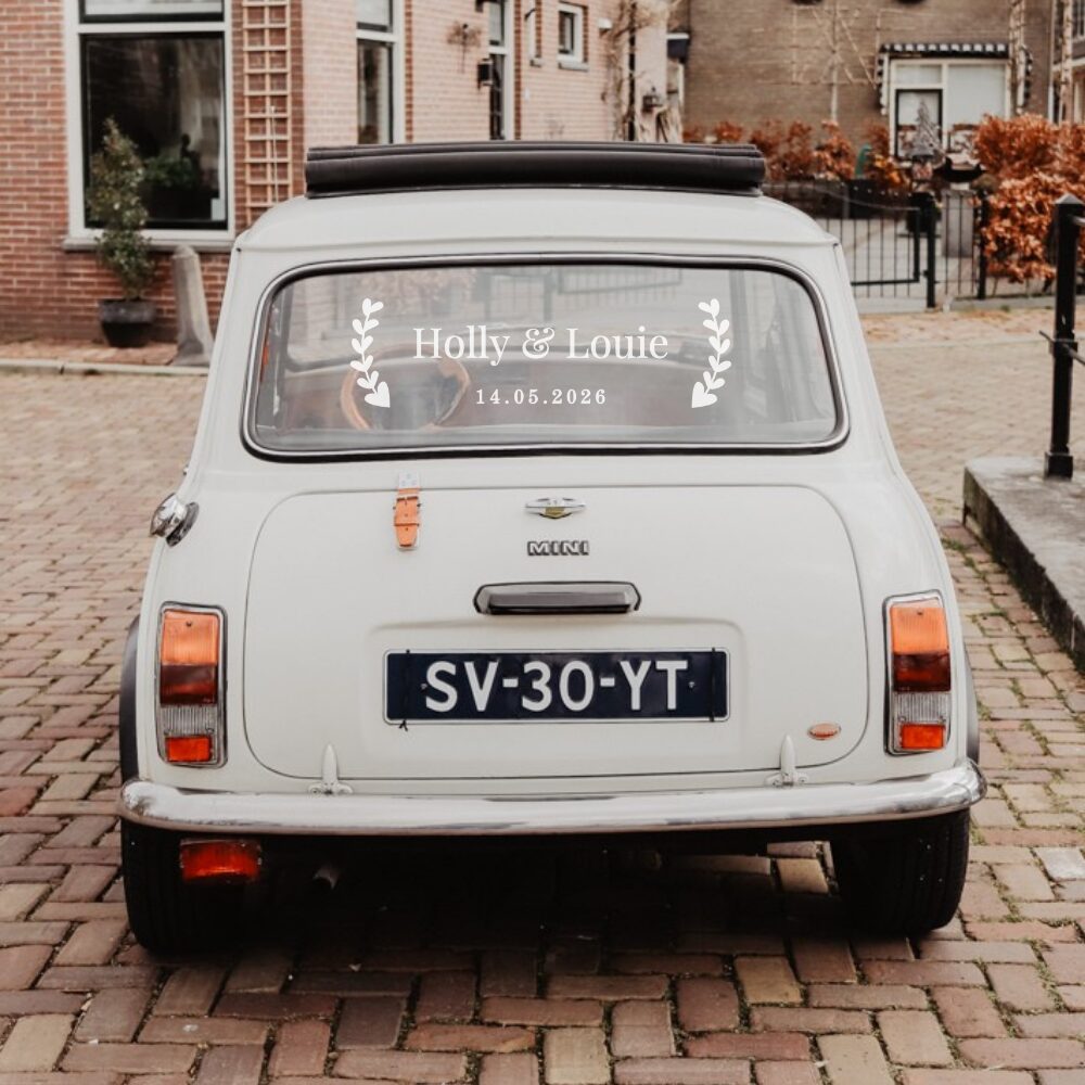 MSL Leafy Heart Mini Cooper