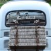 PI Winter Berries VW
