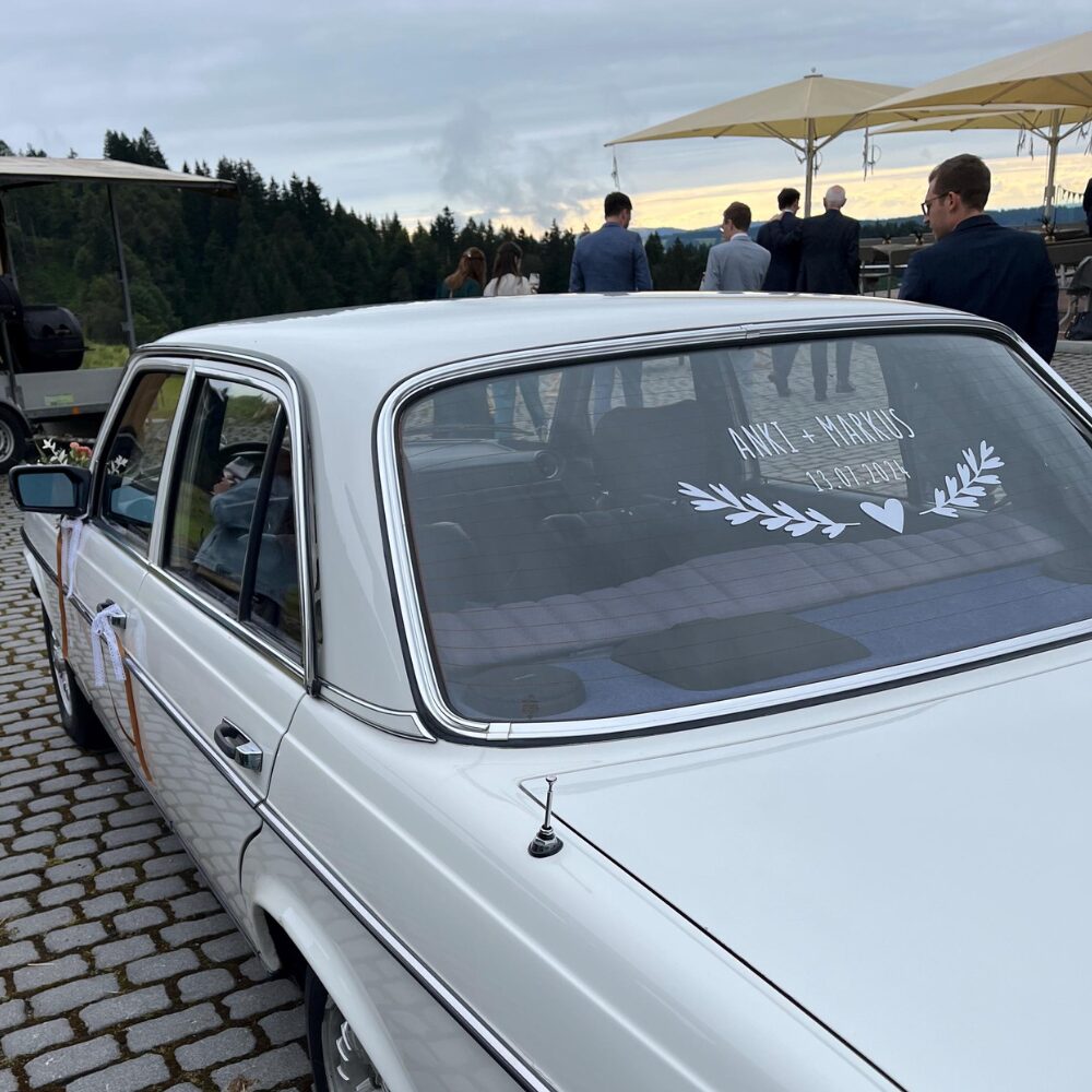 PI Heart Laurel Anki & Markus