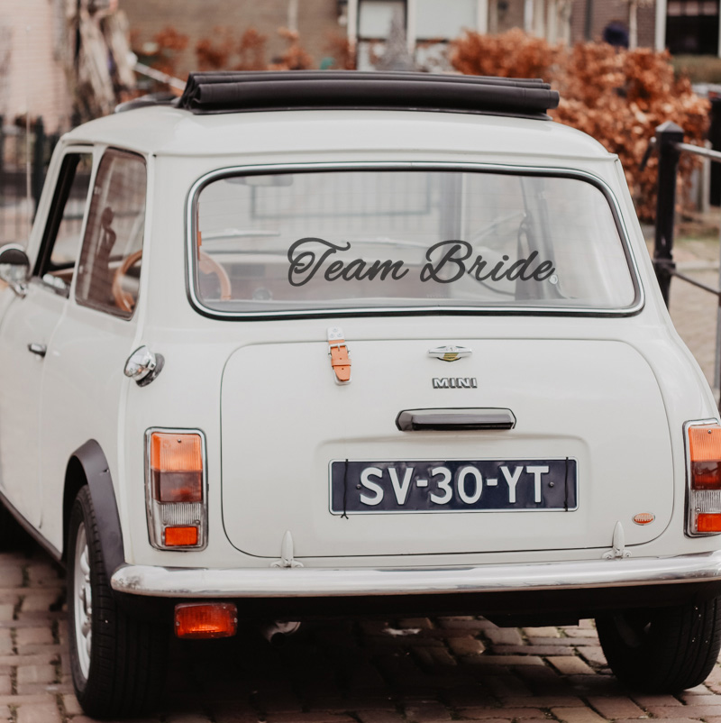 Font 1 team bride mini