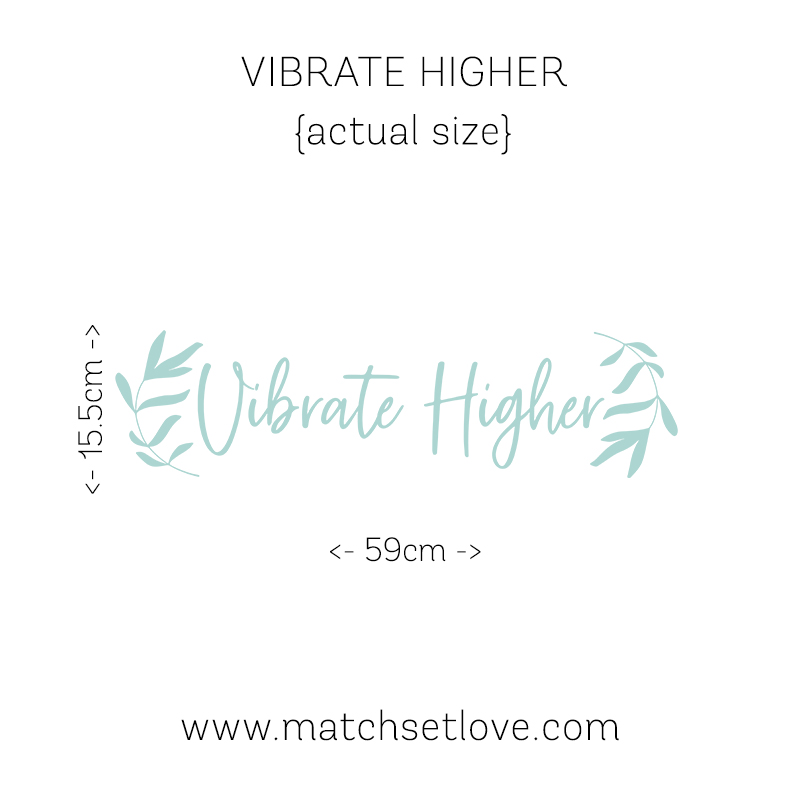 Actual Size Vibrate Higher