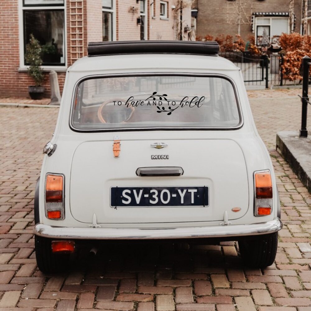 MSL PI Mini Cooperto have and to hold black