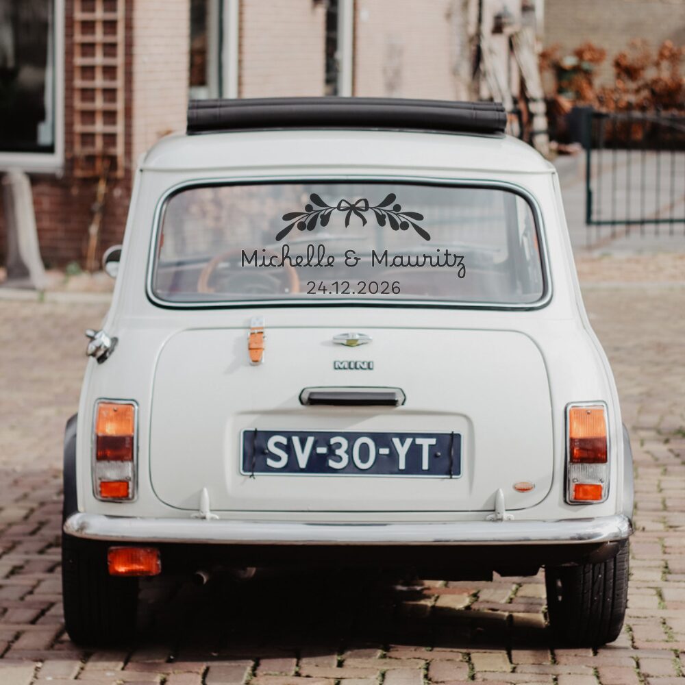 MSL under the mistloe 2 MSL under the mistloe 2